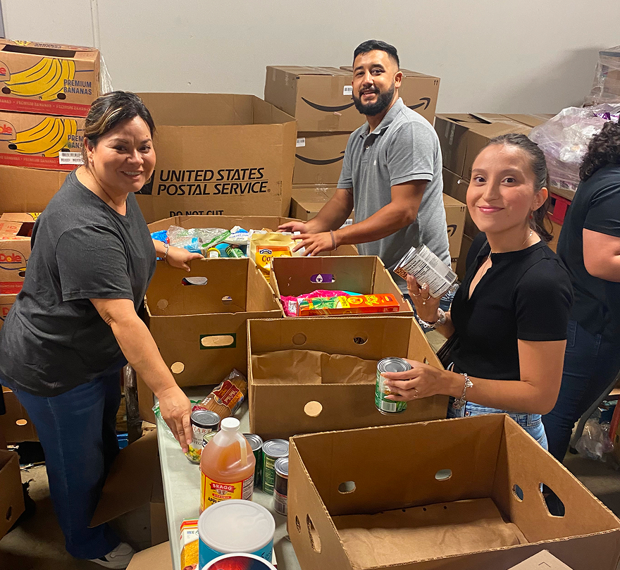 Accordion Item Image